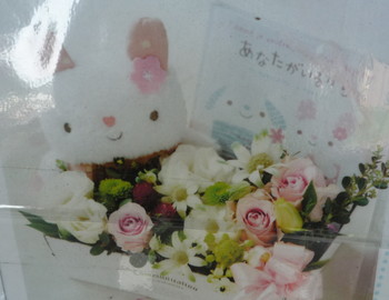 PR画像