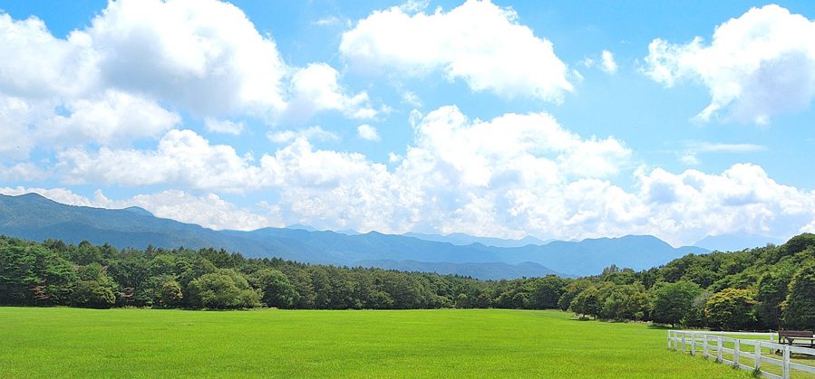 田中牛乳店
